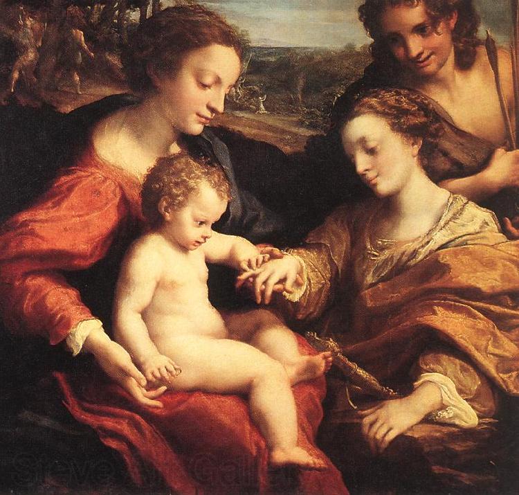 CORNELISZ VAN OOSTSANEN, Jacob The Mystic Marriage of St Catherine dfg Spain oil painting art